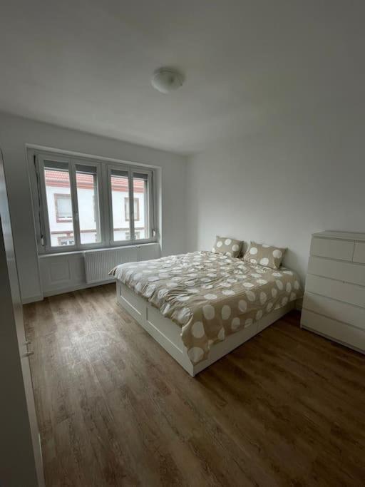شقة Mulhouse, Urban Family Nest المظهر الخارجي الصورة